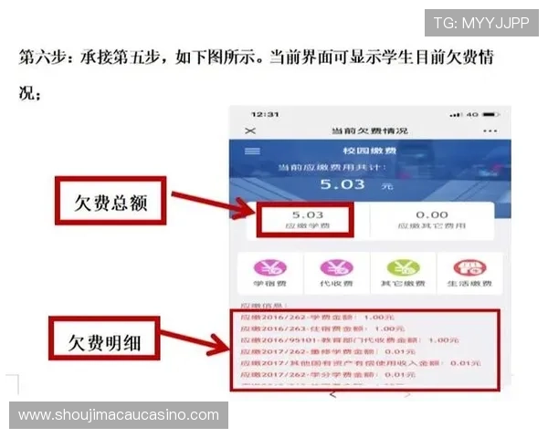 新豪官网最新活动预告及参与方式详细指南助你轻松享受优惠