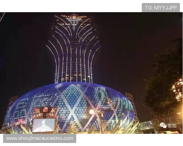 澳门新葡京网址安全可靠的登录平台详细介绍与使用指南