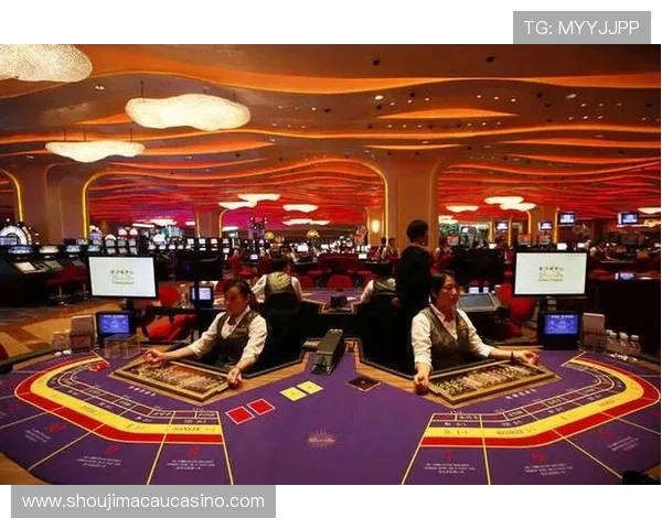 澳门娱乐公司在社会责任方面的实践与可持续发展路径