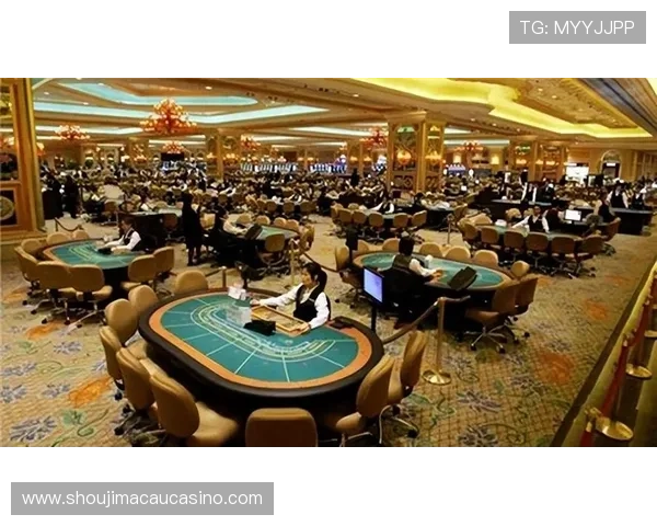 澳门赌场有哪些值得一试的知名赌场场所介绍