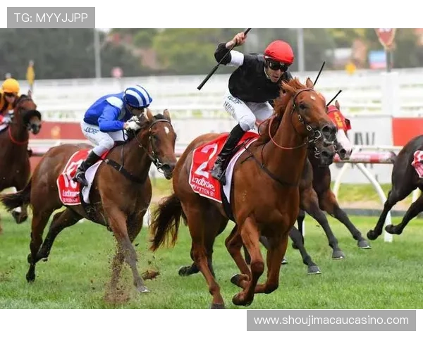 澳门赛马最新赛事结果公布，冠军归属引发热烈讨论