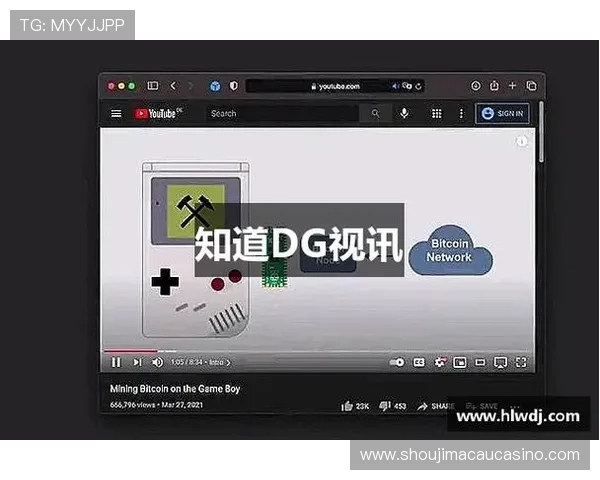 dg视讯啥意思的全面解读，帮助新手快速理解dg视讯的基础内容