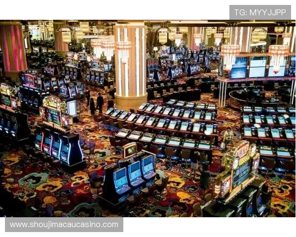 俊龙娱乐场提供顶级娱乐体验打造最精彩的博彩娱乐新体验