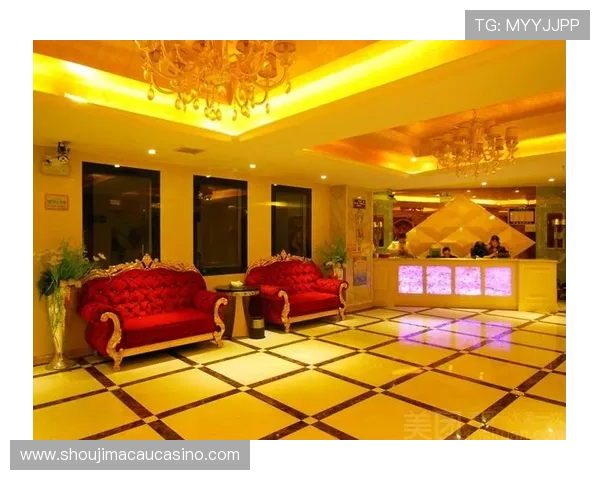 新濠锋娱乐场所怎么样：工作人员专业程度及服务质量评估