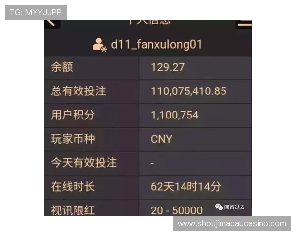 深入解析ag百家乐技巧应用中的常见误区及避免策略