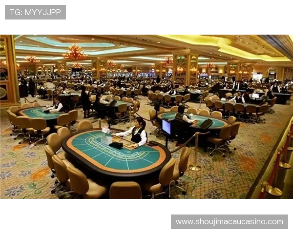 澳门6张赌牌谁持有解析，详细介绍各大赌场背后的持牌企业和个人背景